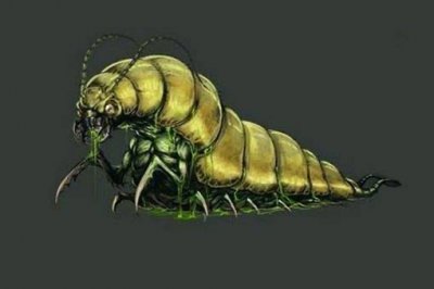 ​苗疆蛊虫真实存在吗？盘点苗疆十大禁蛊