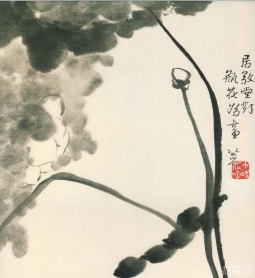 网络图片(侵删)