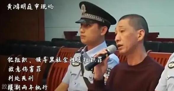 网络图片(侵删)