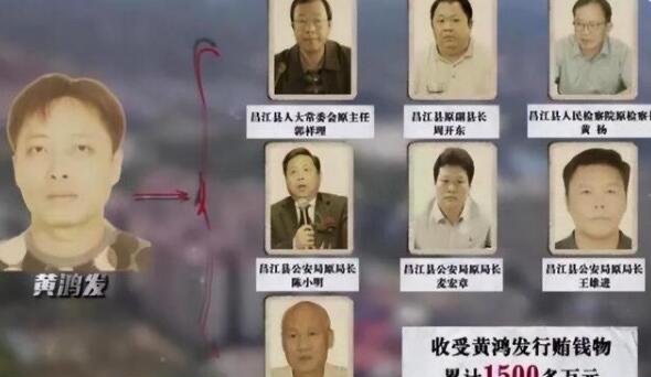 网络图片(侵删)