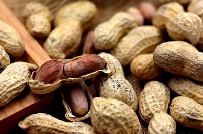 ​常吃花生能长寿 但5类人吃是火上浇油