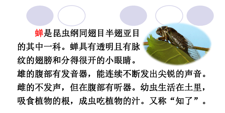 知了介绍