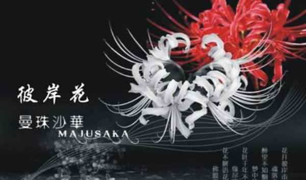 传说彼岸花在冥界入口,揭秘彼岸花为什么叫死人花