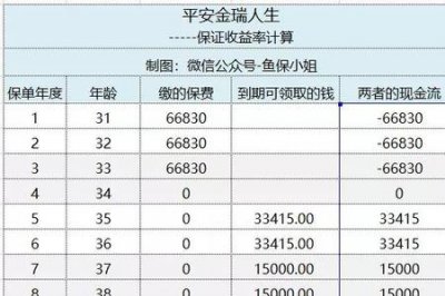 ​赢越人生收益怎么算的