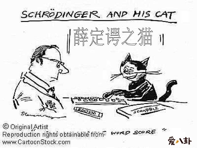 薛定谔的猫这个梗的真实意思