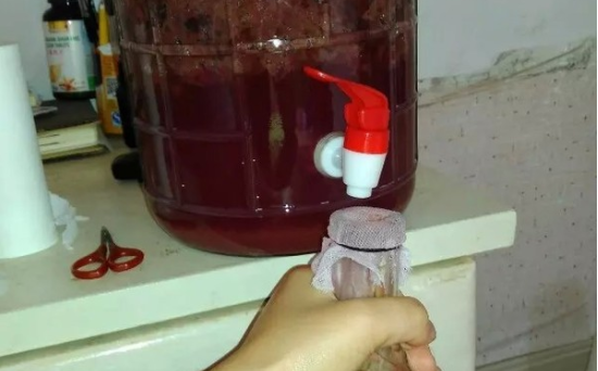 酿葡萄酒多久放一次气,葡萄酒在发酵的过程中还需要放气吗图5