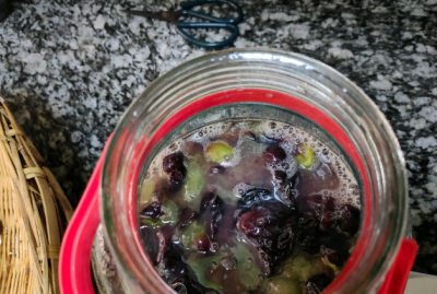 ​酿葡萄酒多久放一次气,葡萄酒在发酵的过程中还需要放气吗