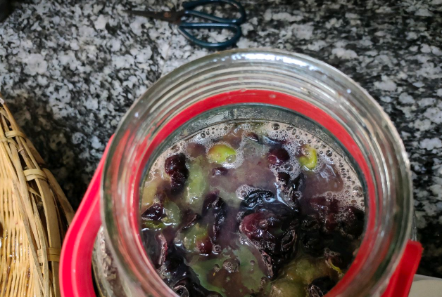 葡萄酒在发酵的过程中还需要放气吗