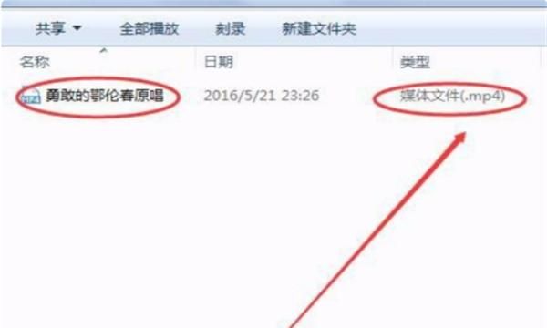 dat文件用什么打开，dat文件用什么打开手机？图8