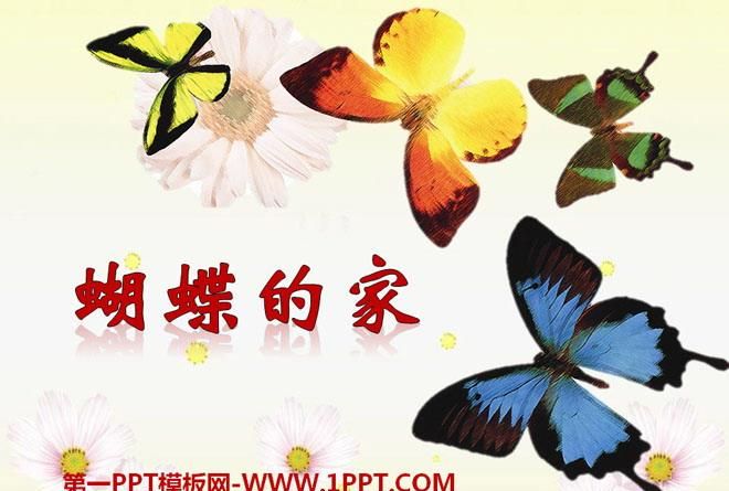 蝴蝶的家到底在哪里