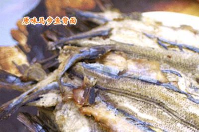 ​马步鱼全国分布