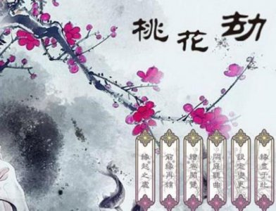 ​请问桃花劫是什么意思