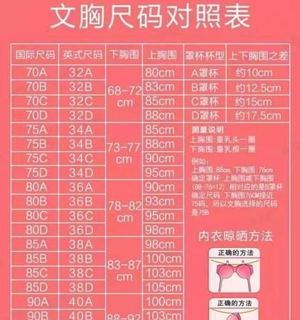 女性胸罩是怎么定义大小的
