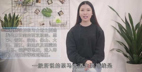 茶马古道路线是哪里(茶马古道路线至少有5条)