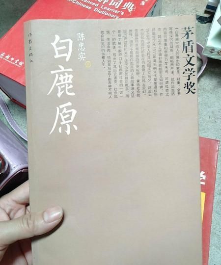 哪里可以看《白鹿原》呢