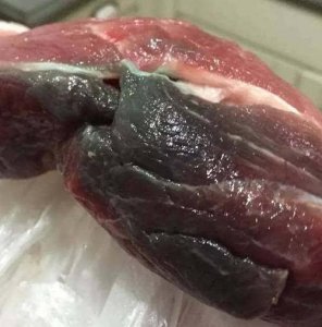 ​怎样区分僵尸肉（教你四招识别僵尸肉）