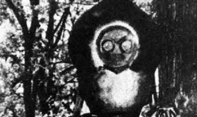 ​清点世界十大未确认生物体，弗拉特伍兹怪物好像UFO