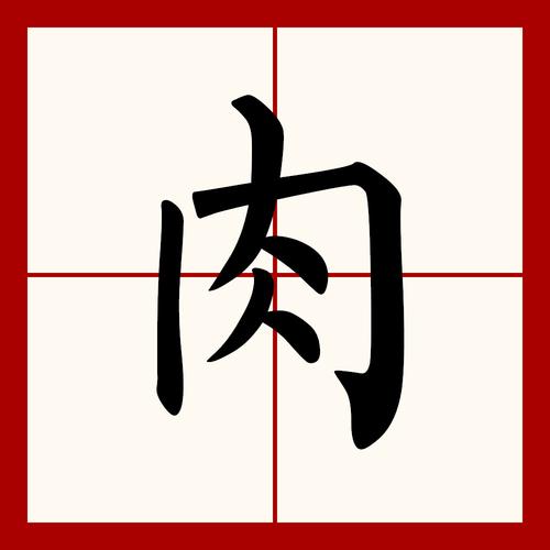 肉的拼音怎么写（肉的读音）