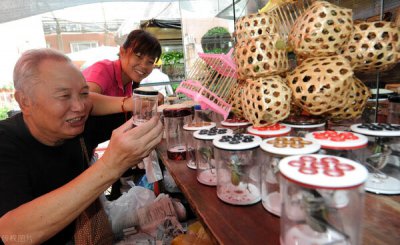 ​蝈蝈吃什么食物最好（蝈蝈怎么养）