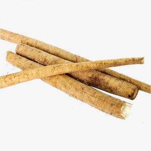 ​牛蒡图片大全（牛蒡是一种什么样的植物）