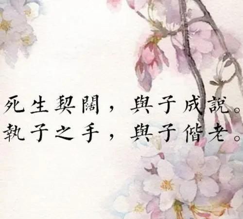 执子之手与子偕老是什么意思，”执子之手，与子偕老”是什么意思？图2