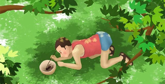 蝈蝈和蟋蟀是一样的吗，蛐蛐、蝈蝈和蟋蟀是同一种昆虫吗？图4