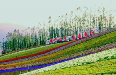 ​厦门十里蓝山(十里蓝山花海什么时候开)