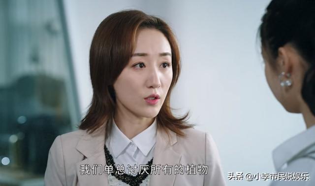 司藤和单志刚的身份（司藤单志刚身份揭晓了）(2)
