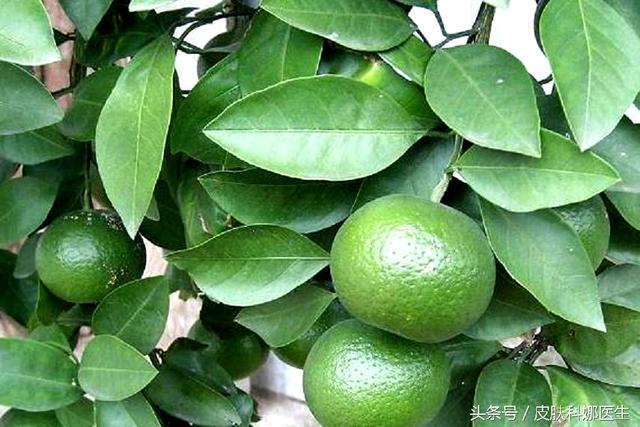 十种最佳降血糖水果排行榜 没人要的落果不仅健脾(2)