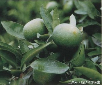​十种最佳降血糖水果排行榜 没人要的落果不仅健脾