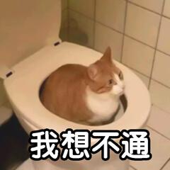 ppt内容素材库推荐（6个资源满满的PPT素材网站）(1)