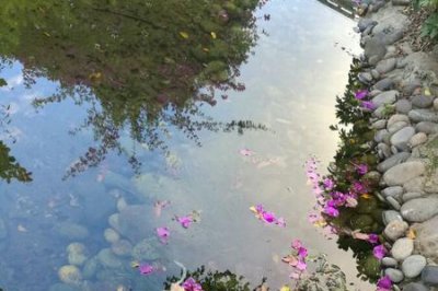 ​落花有意流水无情的全诗