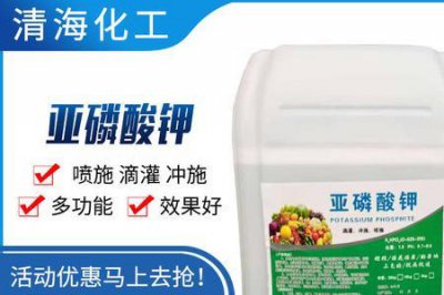 ​亚磷酸和磷酸一样吗