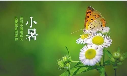 小暑是几月几日星期几，2017年的6月一号是星期四，请问2017年的7月1号是星期几？图2