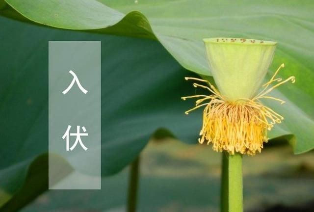 小暑是几月几日星期几，2017年的6月一号是星期四，请问2017年的7月1号是星期几？图5