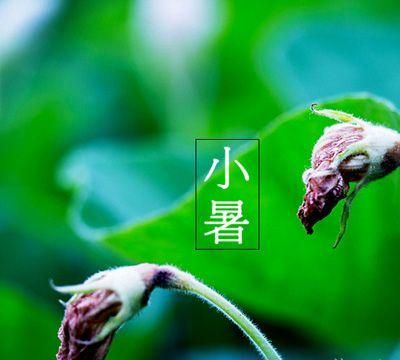 2017年的6月一号是星期四，2017年的7月1号是星期几