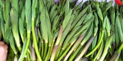 ​野菜的种类名称,野菜种类大全图片名称