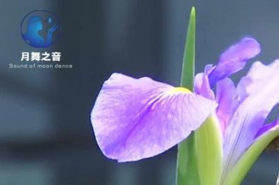 ​相思雨歌曲原唱