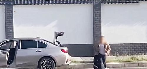 拜金女啥意思，拜金女是什么意思？图5