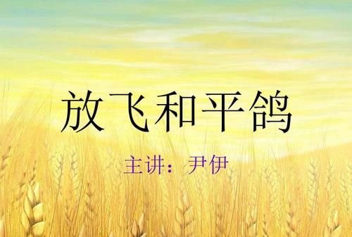 和平鸽这篇短文的标准答案