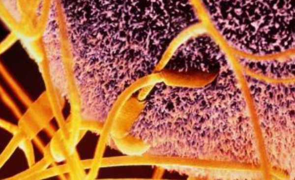 碱性乳白体是啥 ,5毫升碱性乳白色液体是什么电视剧图2