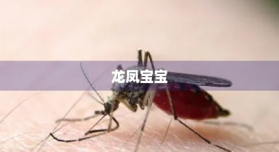 ​龙凤宝宝(龙凤宝宝画贴在卧室哪个位置好)