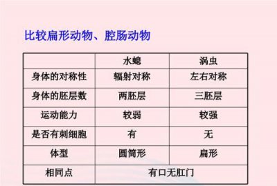 ​腔肠动物用什么呼吸,腔肠动物