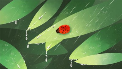​甲壳虫是益虫还是害虫