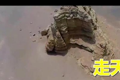 ​歌曲走天涯表达是什么意思