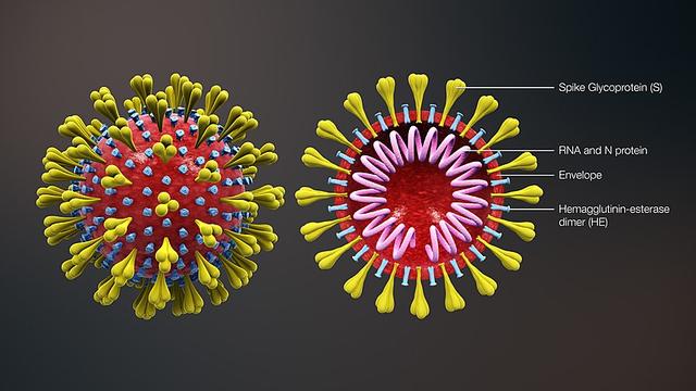 病原生物及免疫学基础课件ppt（Jerry的免疫学1）(1)
