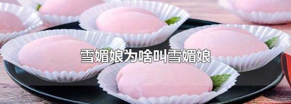 雪媚娘可以常温存放,雪媚娘冬天常温下可以放多久图4