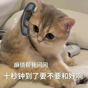 ​为什么养公猫比母猫好（公猫省心还是母猫省心）