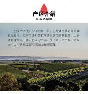 ​900ml白酒，900一瓶的白酒