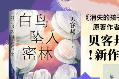 ​海葵原著小说